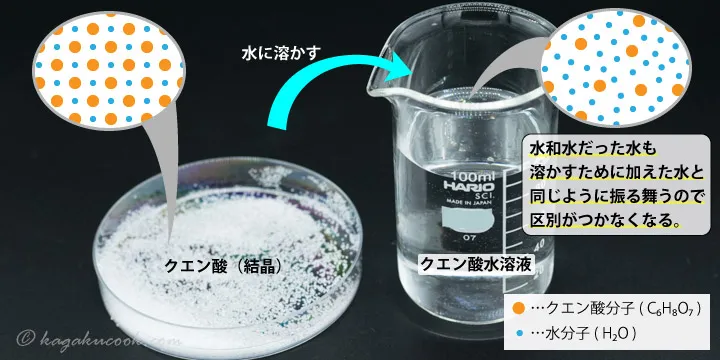 クエン酸（結晶）を水に溶かした場合の水和水の振る舞い