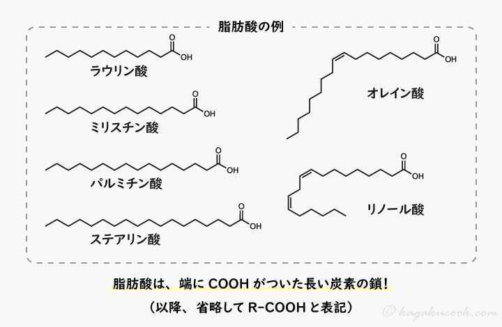 脂肪酸には様々な種類があるが、いずれも端にCOOH基がついた長い炭素鎖という共通構造を持つ。