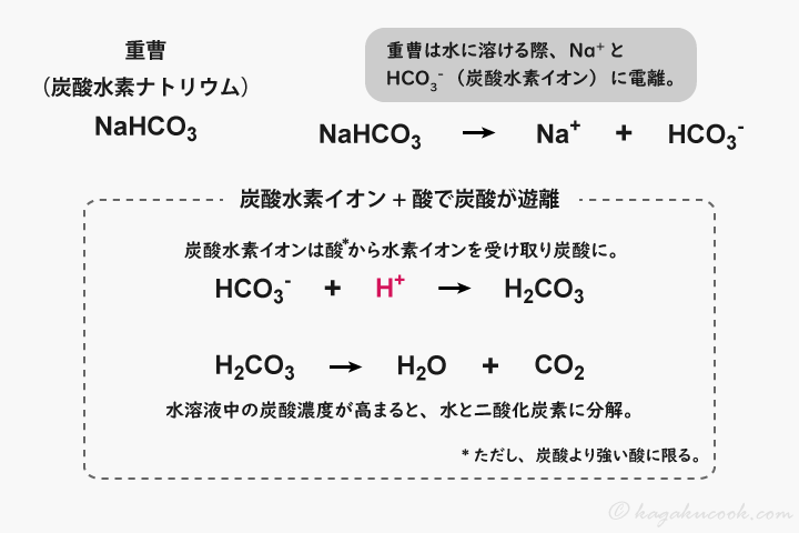重要由来の炭酸水素イオンは、酸から水素イオンを受け取ると、弱酸の遊離が起こり炭酸を遊離する。